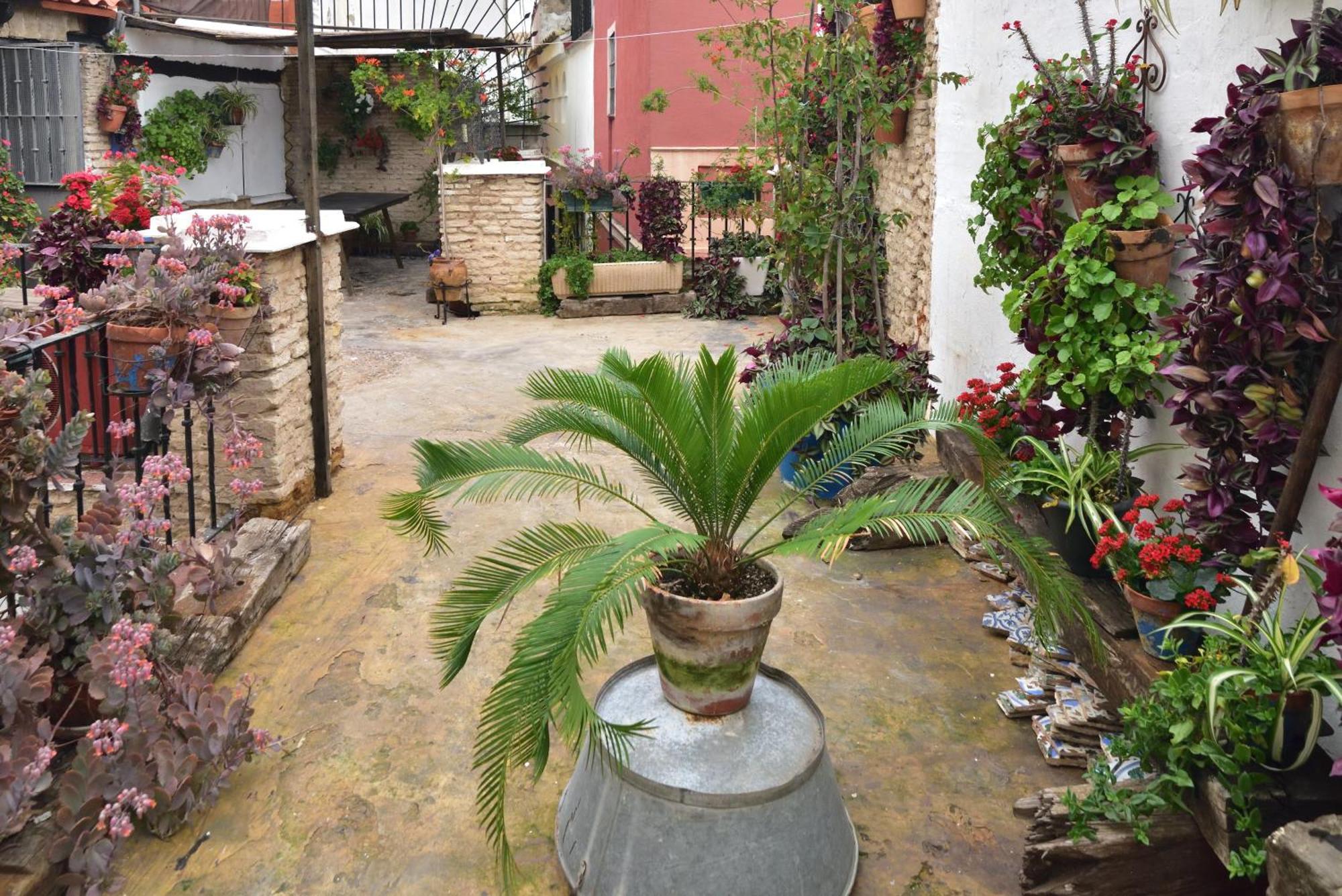 Suite Dona Ines Barrio Santacruz Sevilla Dış mekan fotoğraf